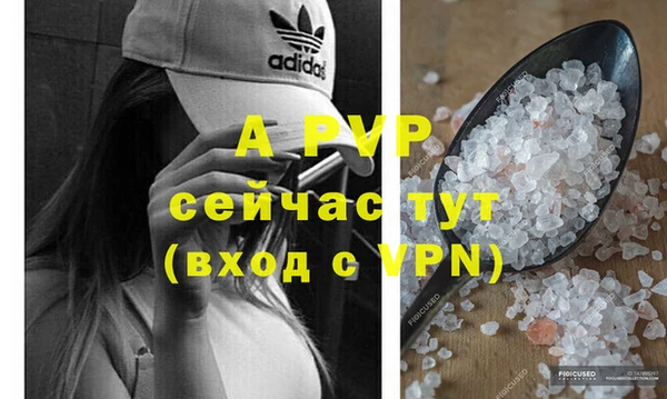 МДПВ Верея