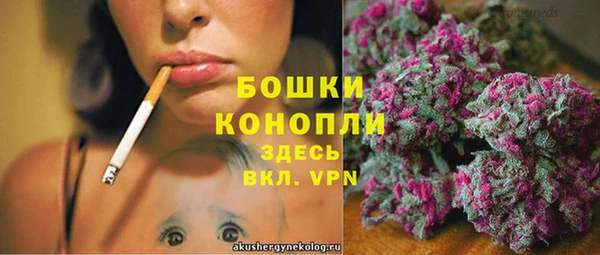 МДПВ Верея