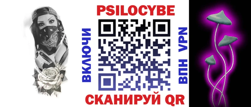 Псилоцибиновые грибы Psilocybe  Череповец 