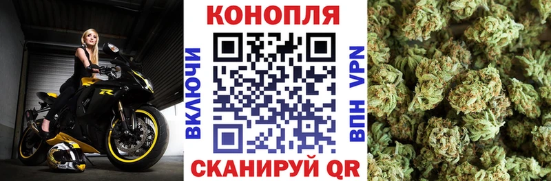 Шишки марихуана гибрид  Череповец 